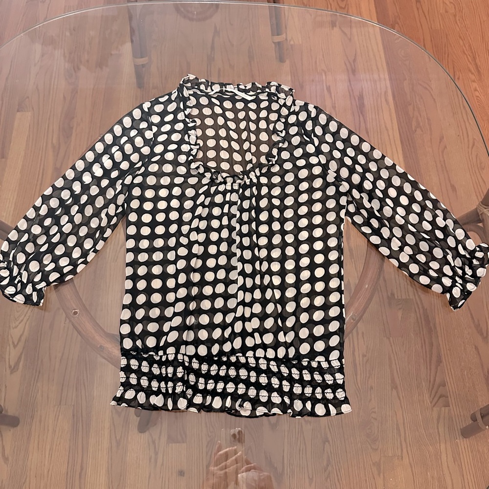 Twelfth Street by Cynthia Vincent - Gorgeous Sheer Polka Dots Blouse. Size S